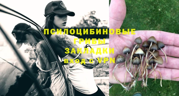 ГАЛЛЮЦИНОГЕННЫЕ ГРИБЫ Баксан